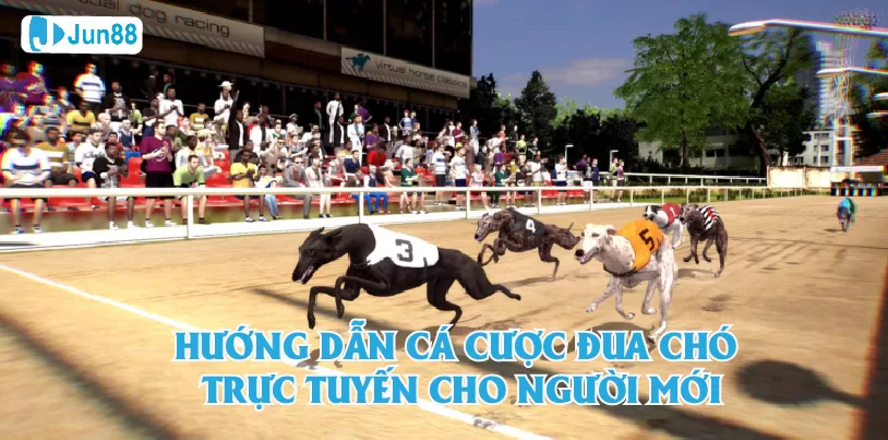 Môn cá độ đua chó trực tuyến là gì?