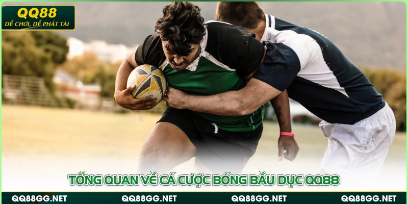 Tổng quan về cá cược bóng bầu dục QQ88